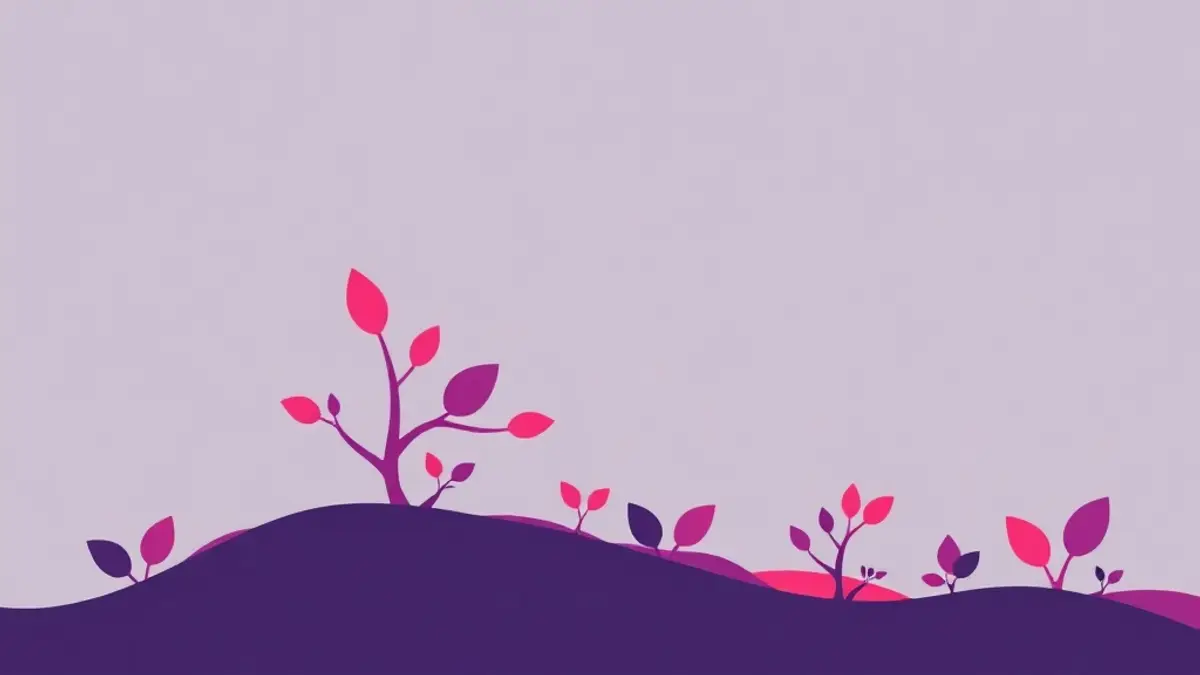 رسم توضيحي: نمو حساب انستقرام عضوي